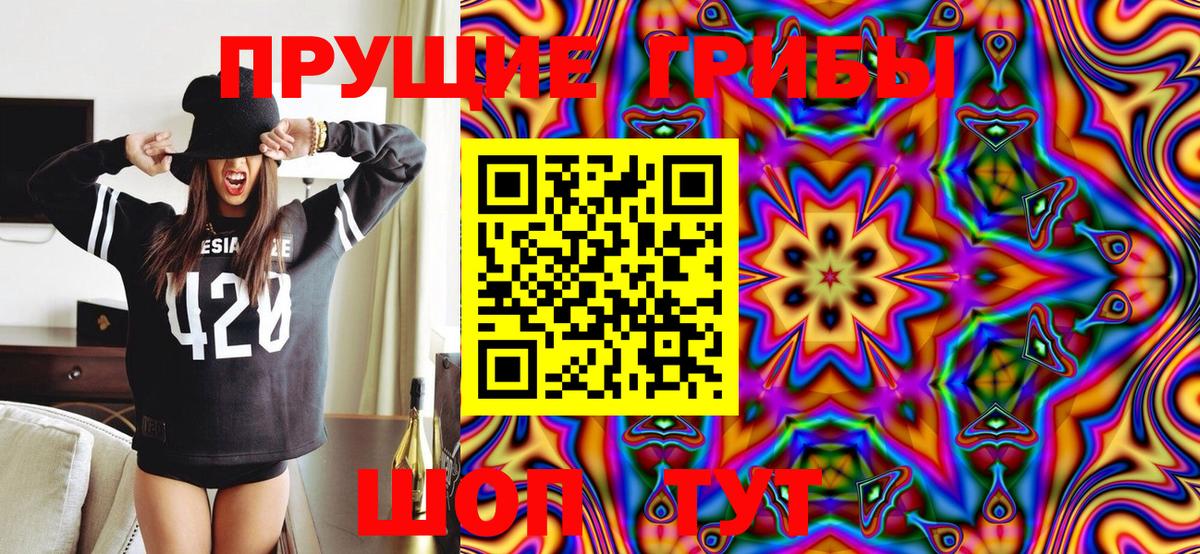 Псилоцибиновые грибы Psilocybine cubensis Воронеж